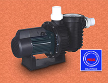 Pompa kolam renang kapasitas 50 kubik