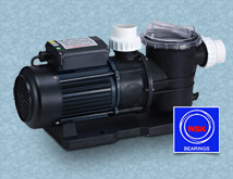 Pompa kolam renang 0,75 HP